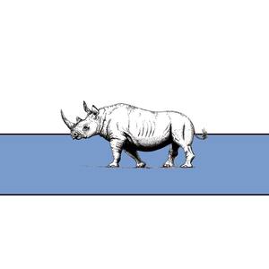 Rhinoceros