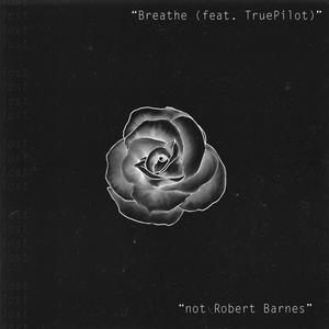 Breathe(feat. TruePilot)