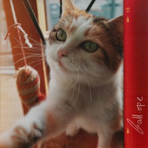 Calliope