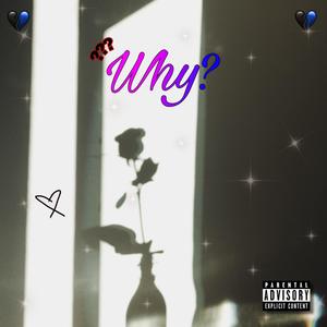 Why? (Explicit)