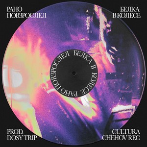 БЕЛКА В КОЛЕСЕ (prod. DosyTrip|Explicit)