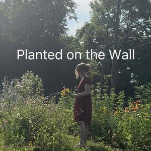 Planted on the Wall