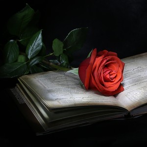 Лира (feat. Тима Чёрный) [Скит от Rapchino]