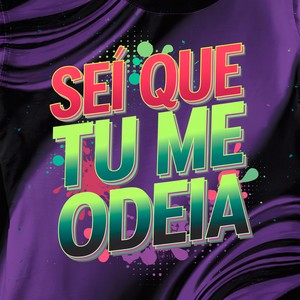 Sei Que Tu Me Odeia (Dutch House|Explicit)