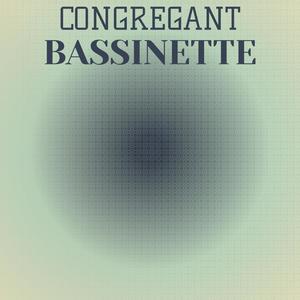 Congregant Bassinette