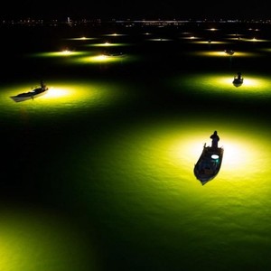 星光不问赶路人