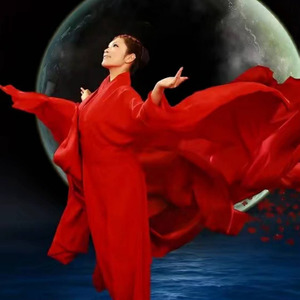 我是你的边境牧羊犬