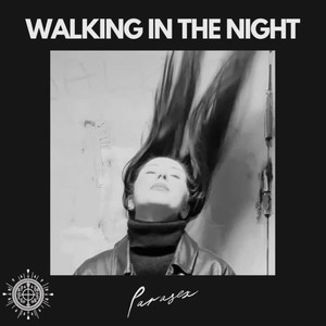 Walking In The Night (Original Mix)