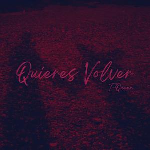 Quieres Volver (feat. QwertyMusique)