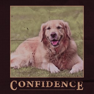 Confidence