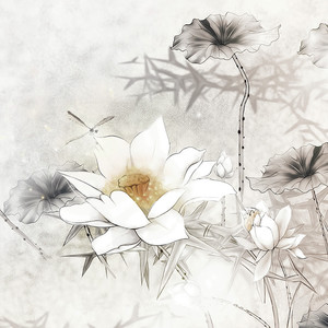 【葫芦丝】清明雨上