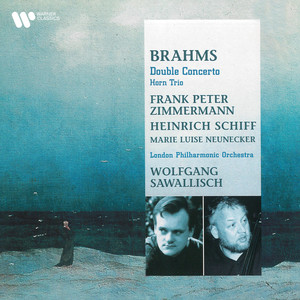 Johannes Brahms: The Double Concerto in A minor, Op. 102 - I. Allegro