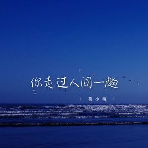 你走过人间一趟