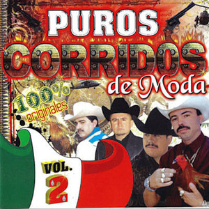 Puros Corridos De Moda (Vol.2)