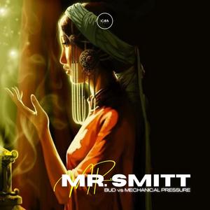 Mr. Smitt