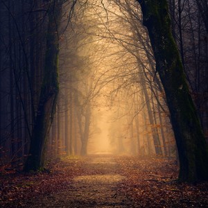 Gizli Yol (feat. ENVER) (Explicit)