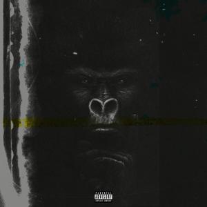 Gorillas (Explicit)