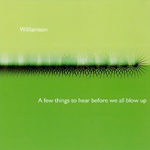 Williamson - What's On The Ceiling Beats What's On TV