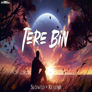 Tere Bin Slowed + Reverb