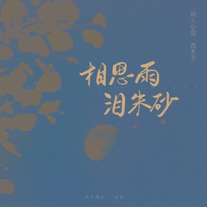 相思雨泪朱砂 (伴奏)