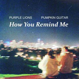 How You Remind Me (Guitar Version)