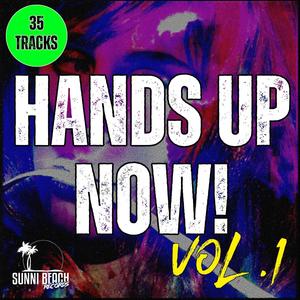 Hands Up Now! Vol. 1 (Explicit)