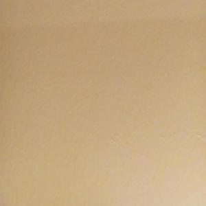 Dricky Party (Explicit)