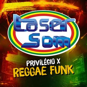 privilegio x reggae funk