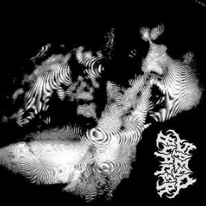 NIGHT NIGHT (feat. Shredz) (Explicit)