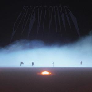 serotonin. (Explicit)