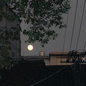 我知道你不爱我