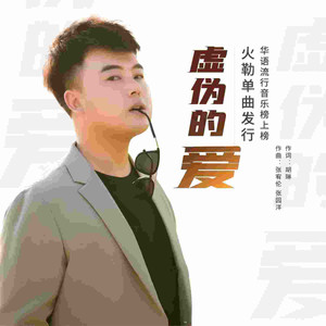 虚伪的爱 (DJ默涵版)
