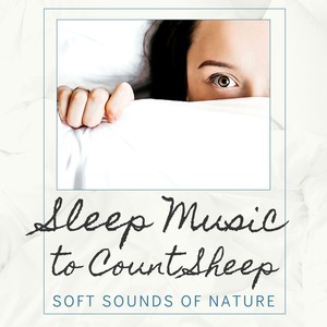 Sleep Music to Count Sheep: Soft Sounds of Nature for People with Aphantasia