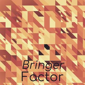 Bringer Factor