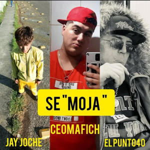 SE MOJA (feat. Ceomafish & Punto 40) [Explicit]