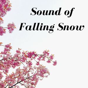 Sound of Falling Snow