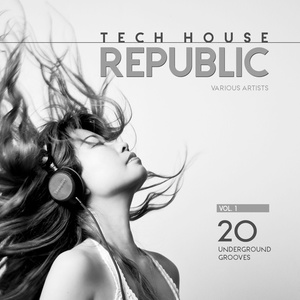 Tech House Republic (20 Underground Grooves), Vol. 1