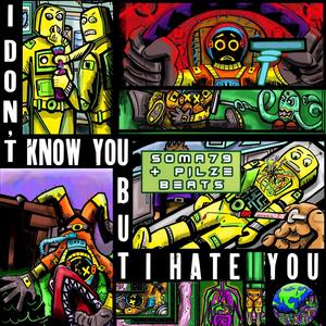 I Don't Know You But I Hate You (Explicit)