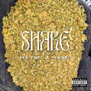 SHAKE (feat. 4MARI & 448 PAPI) (Explicit)