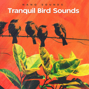 Tranquil Bird Sounds