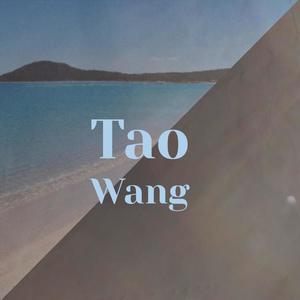 Tao Wang