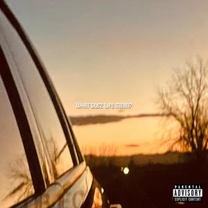 What Doez Life Mean? (feat. Josh Icon) (Explicit)