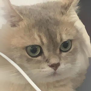 钢琴曲 (钢琴弹奏版)