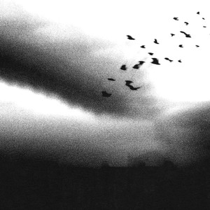 SOLEIL NOIR (Explicit)