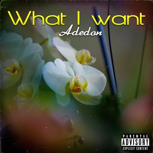 What I Want (Explicit)