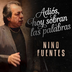Adiós, Hoy Sobran Las Palabras