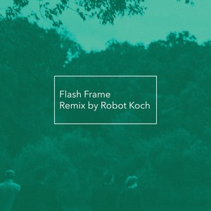 Flash Frame (Robot Koch Remix)