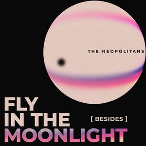 Fly in the Moonlight (Ericka's Vocals)
