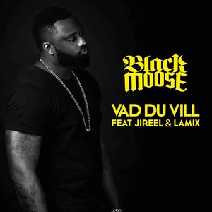 Vad du vill (feat. Jireel & Lamix)