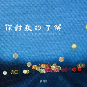 你对我的了解 (孤独氛围版)封面